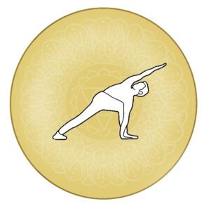 Revolved Side Angle Pose