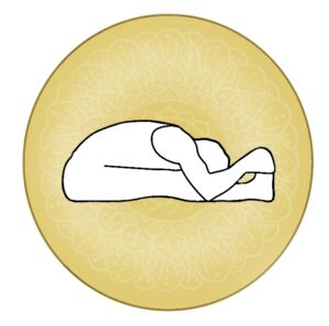 Seated Forward Bend Pose