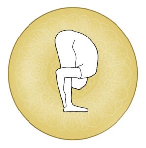 Standing forward bend